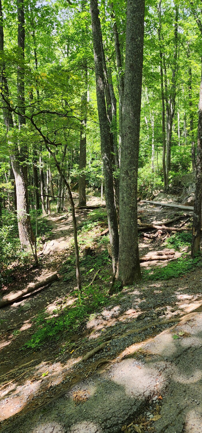 Smokey Mountain Trails