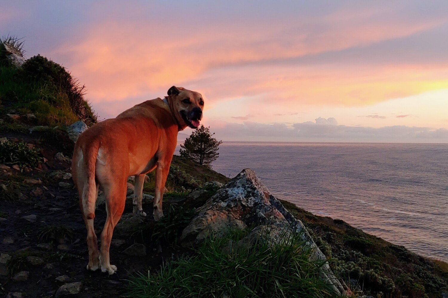 Evening hike with best friend