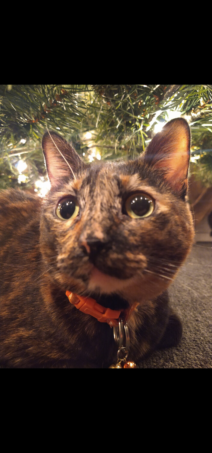 Sally at Christmas time