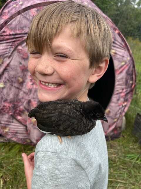 Chicken love. ❤️