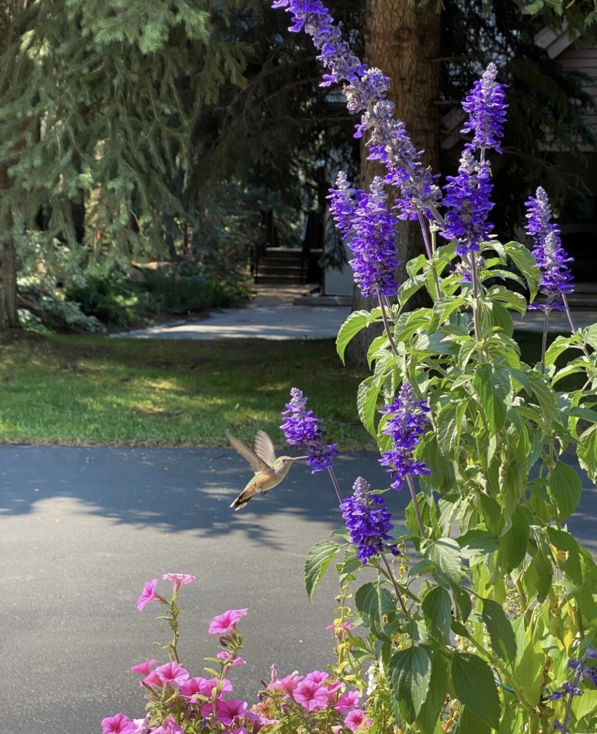 Beautiful day in Vail, Colorado