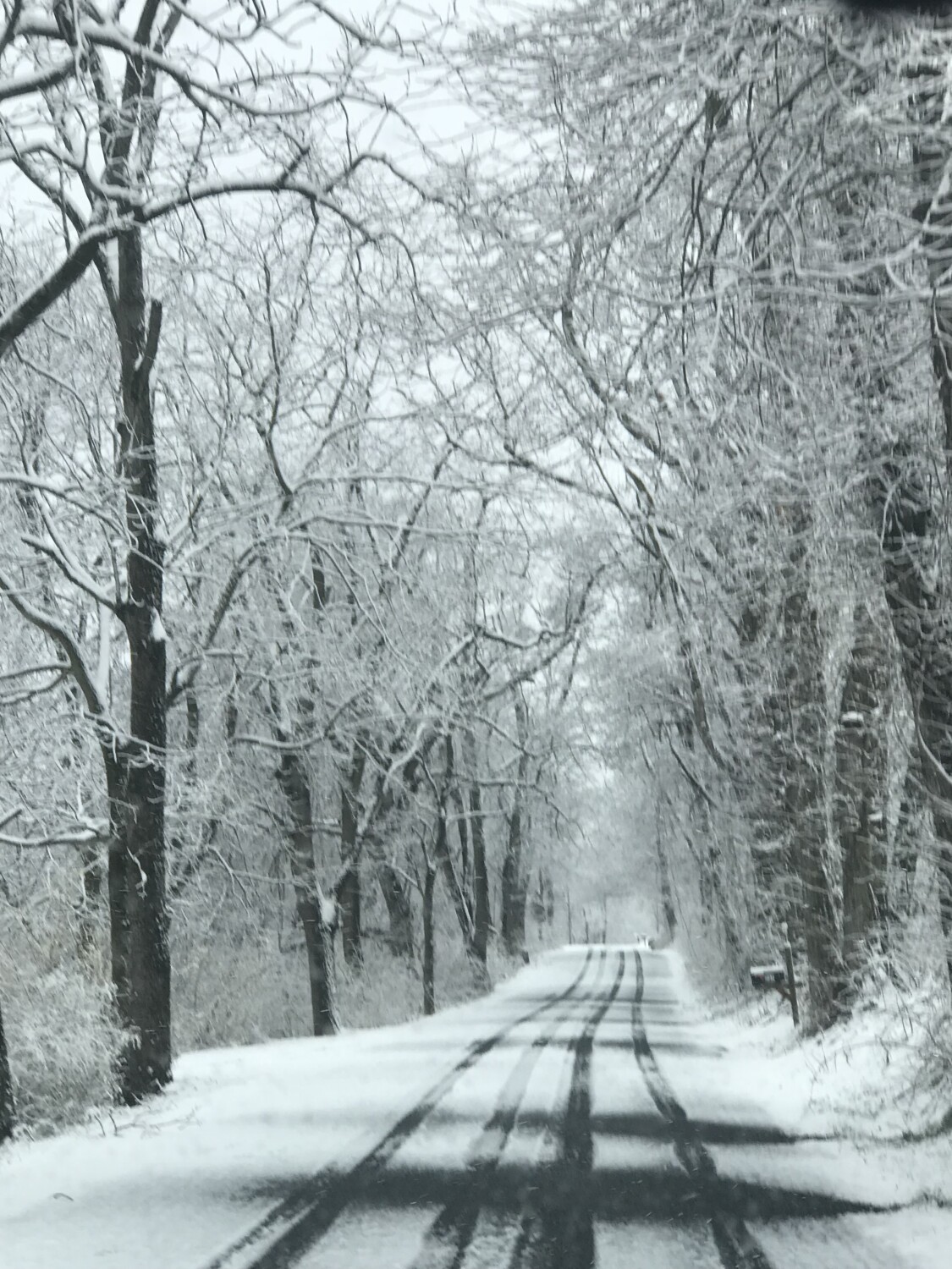 Our backwoods country road in winter time