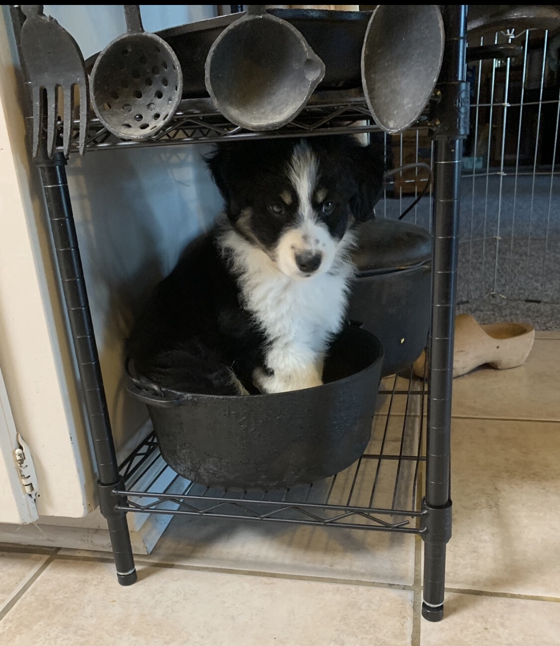 Riley’s favorite hiding spot