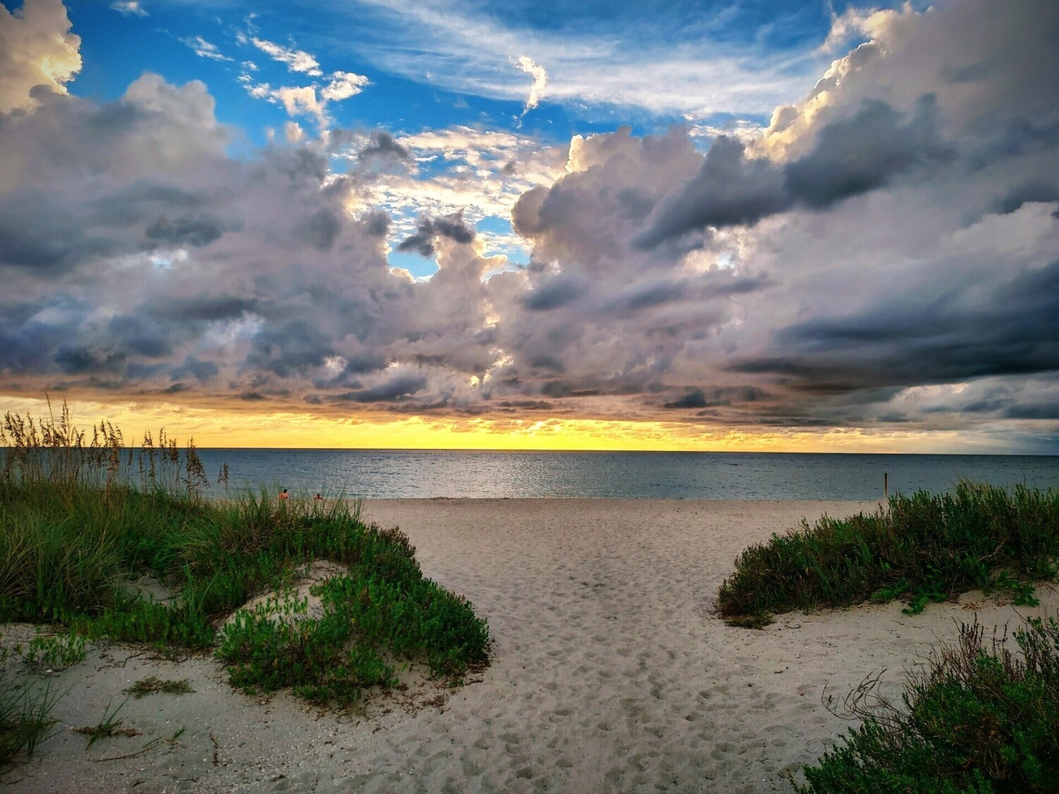 Venice Beach in Venice, Fla.