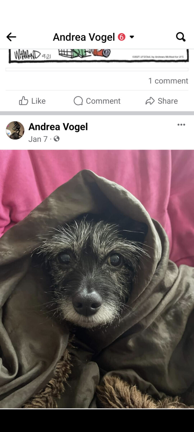 Brinny at the Met Gala.