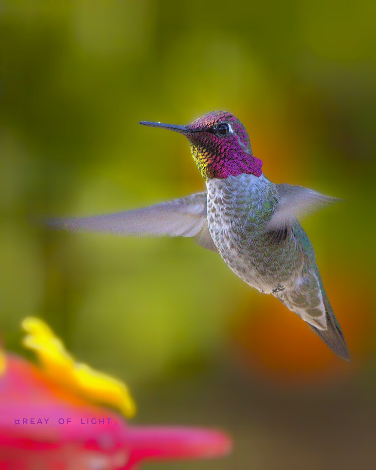 Beautiful Morning Moment