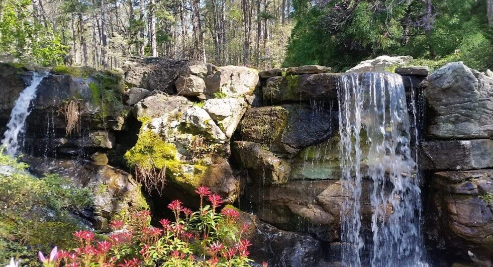 Garvan Gardens Hot Springs, Arkansas