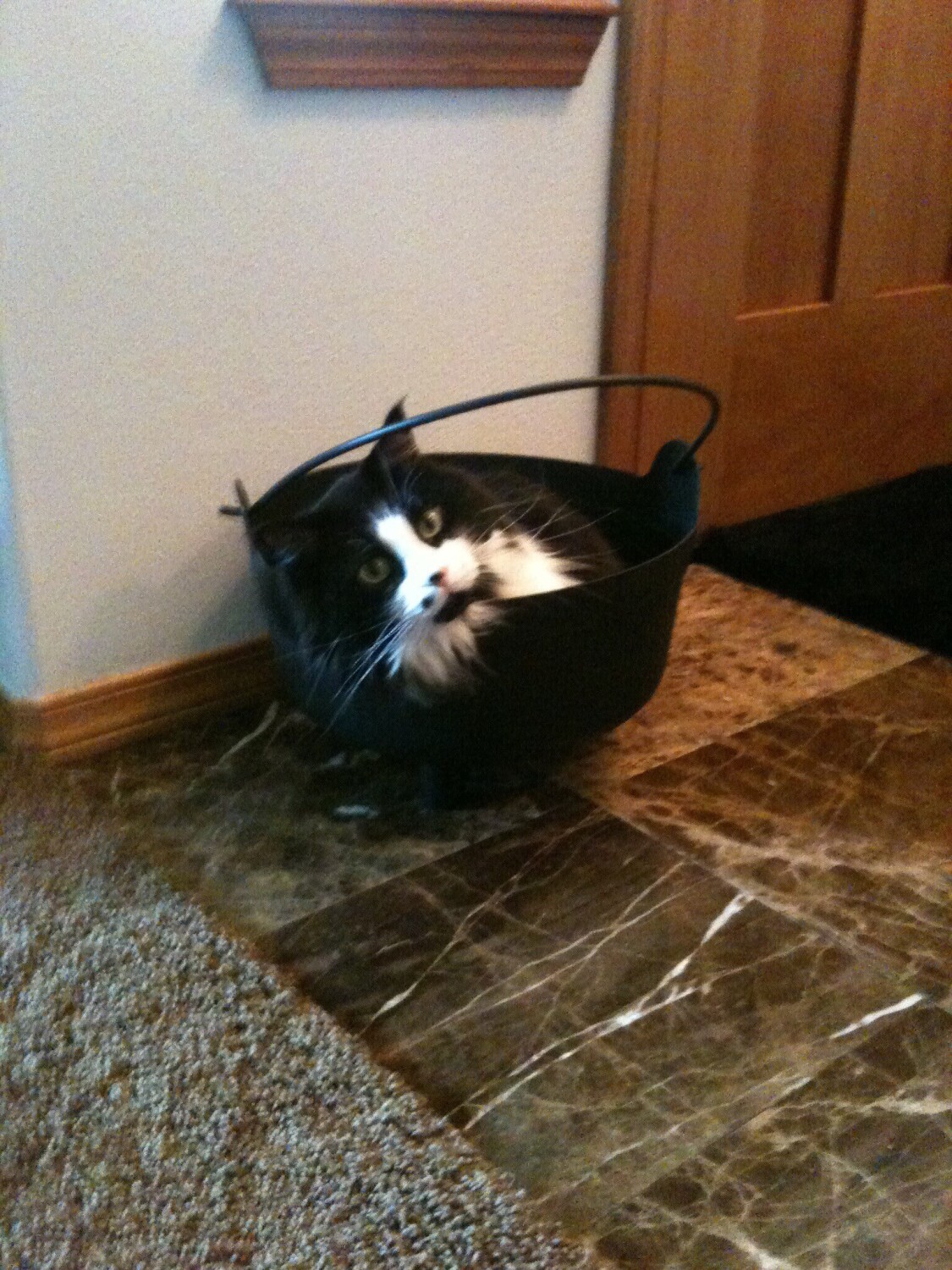 Sweet Face Jackson - Trick or Treat