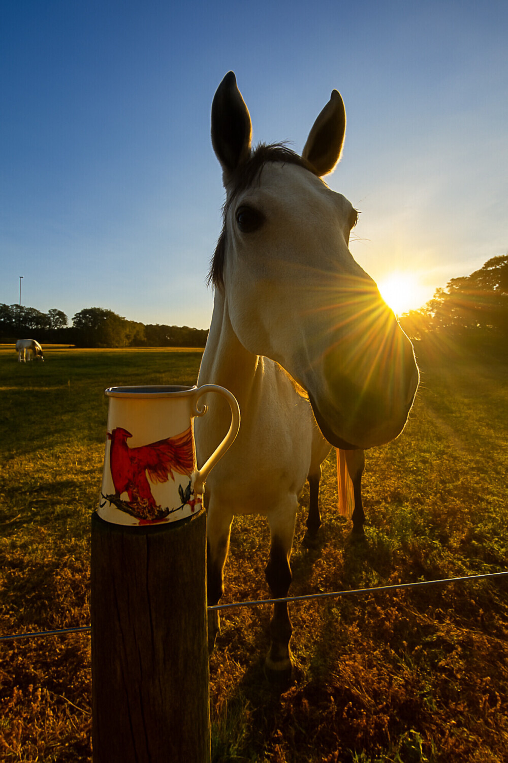 Morning Conversation
