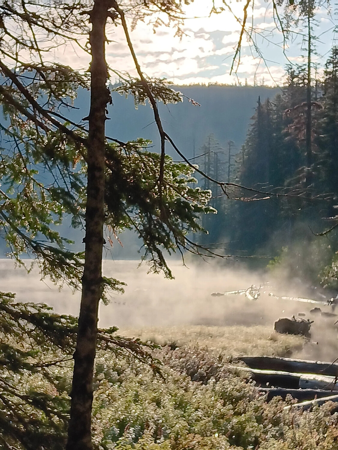 El despertar de la naturaleza.