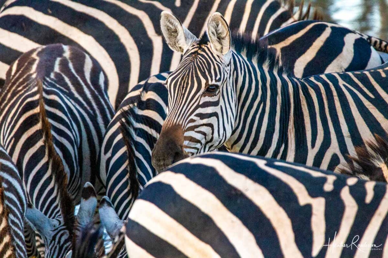 Are you looking at me?