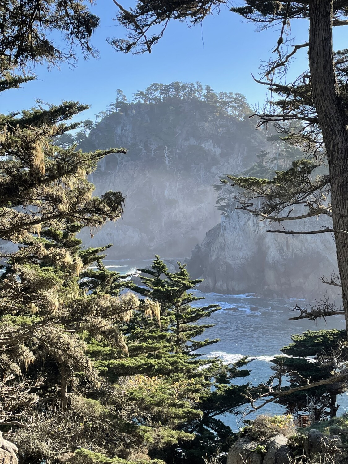 Point lobos