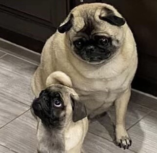 Charlie meets his new Brother Gunny