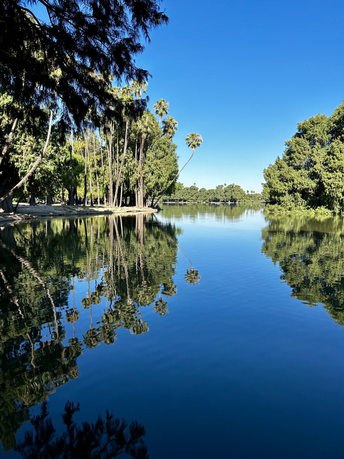 Nature’s reflection