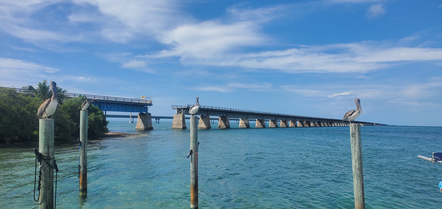A Beautiful day in the Keys