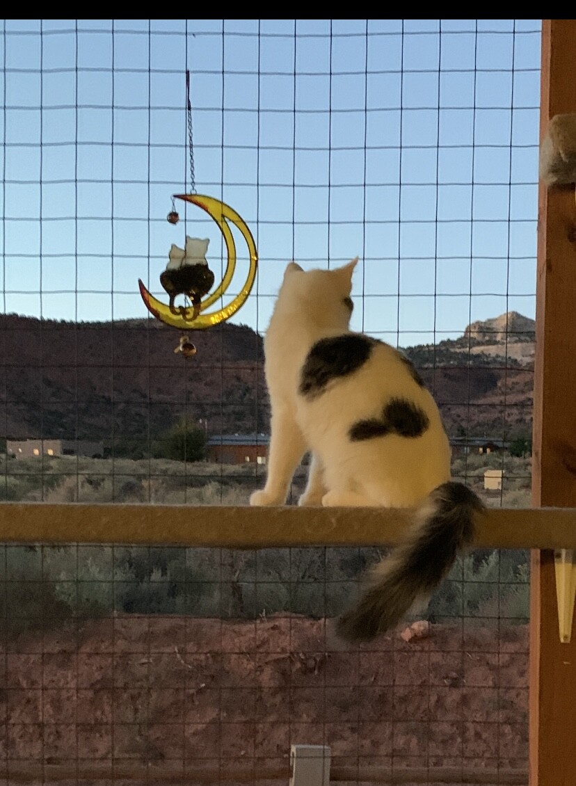 Beautiful evening in Utah