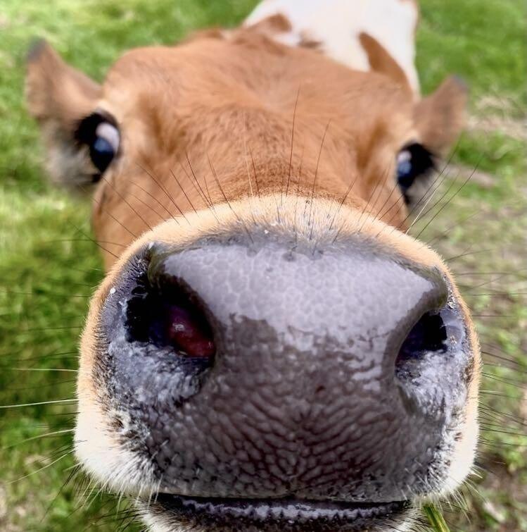 Is that something to eat