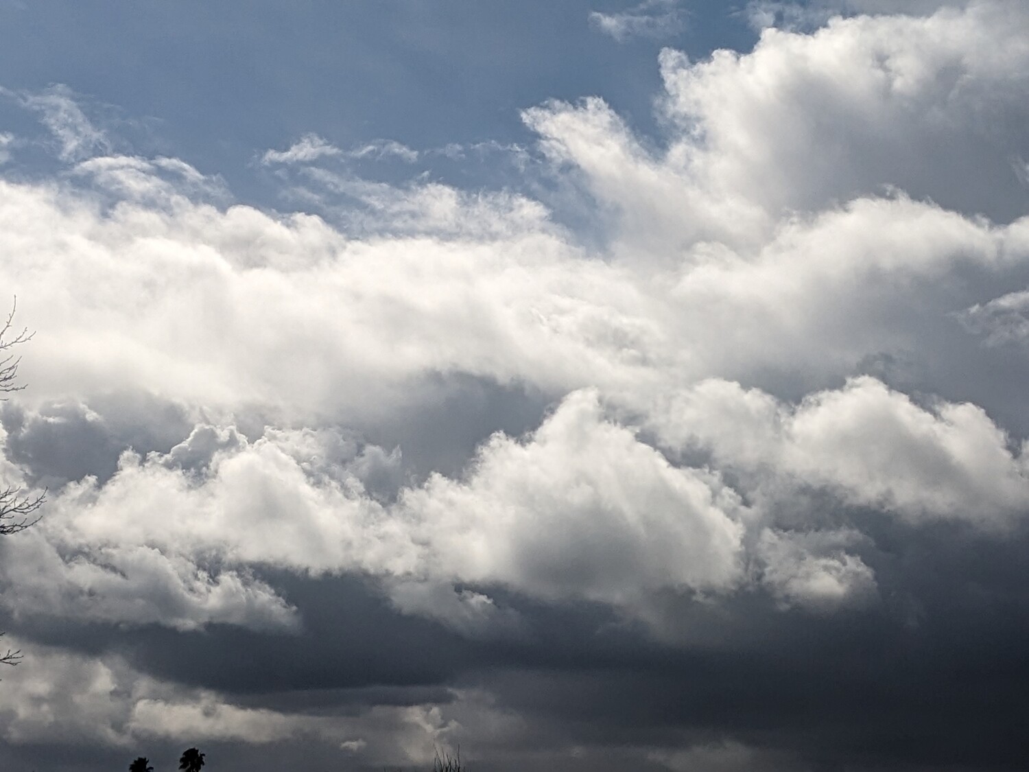 Something wicked this way comes