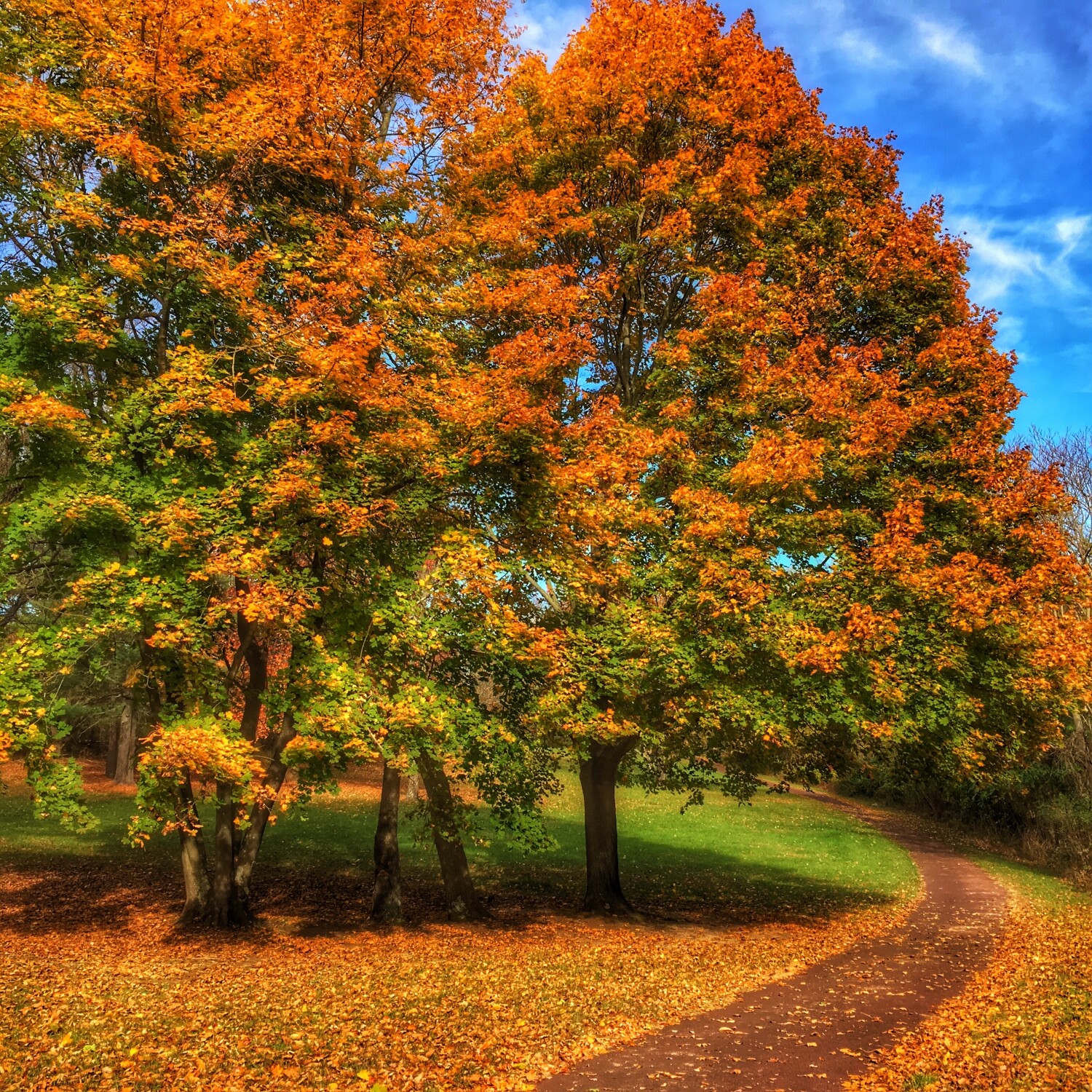 A Beautiful Fall day in New Jersey