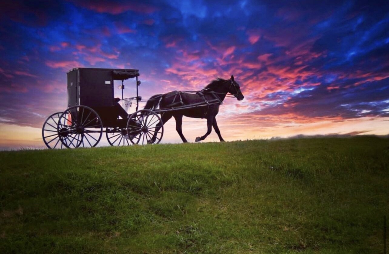 Sunset Sillouette Magic