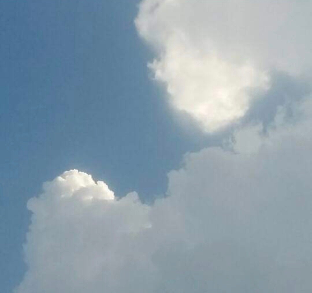 Mother meeting baby bond