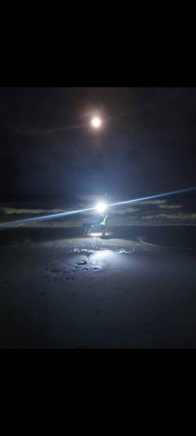 Catching Bait by the Carolina Moon