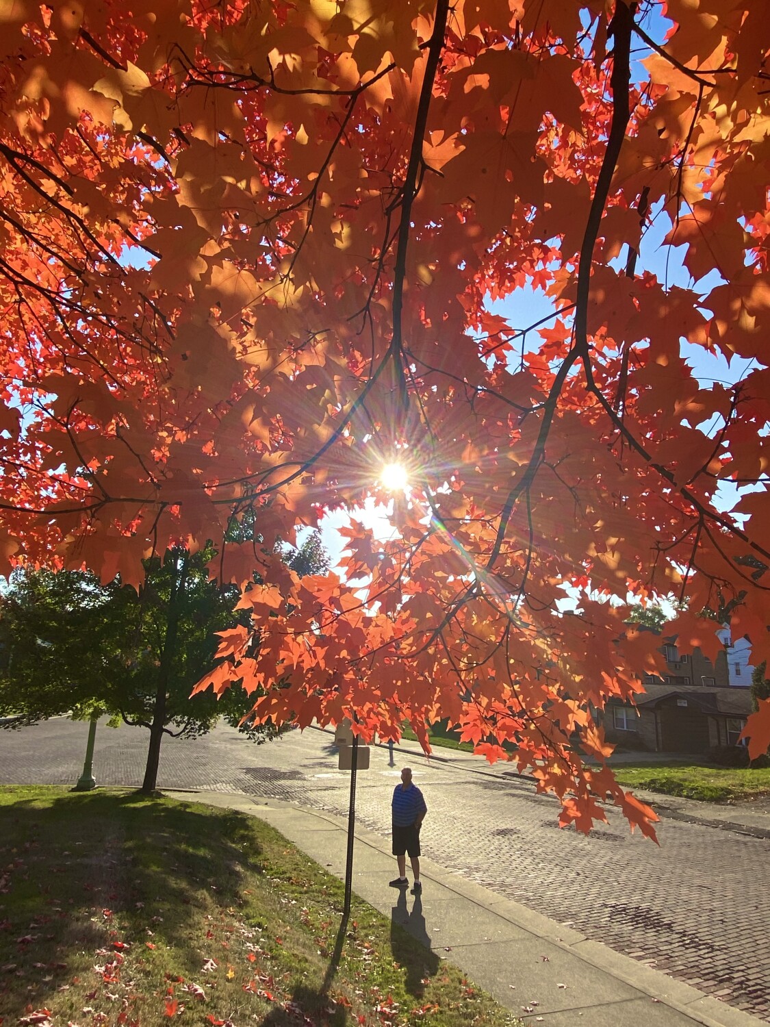 A Touch of Sun in the Fall (Hubby in Ohio)