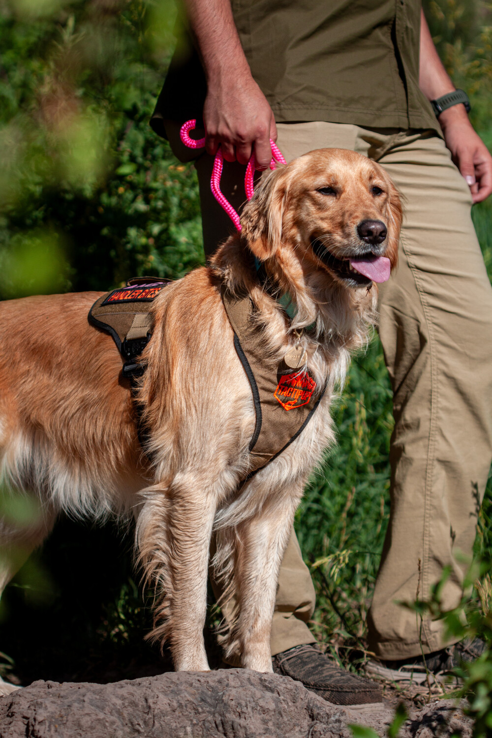 Idaho’s Best Model