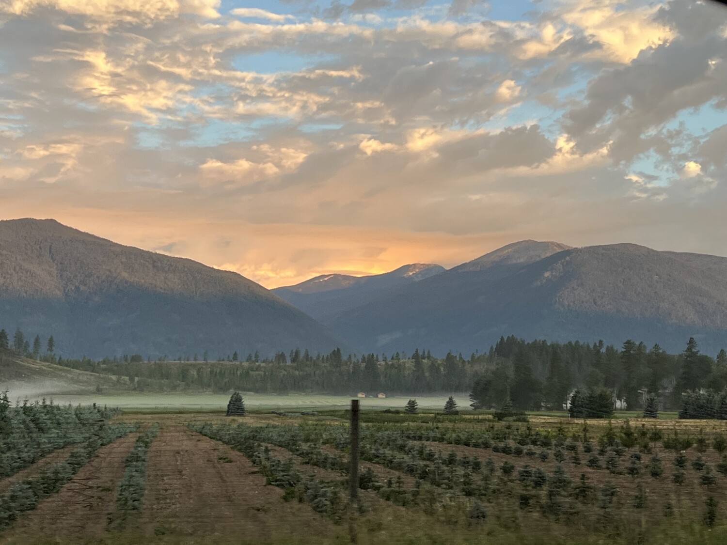 Sunrise at Bonners Ferry Farm