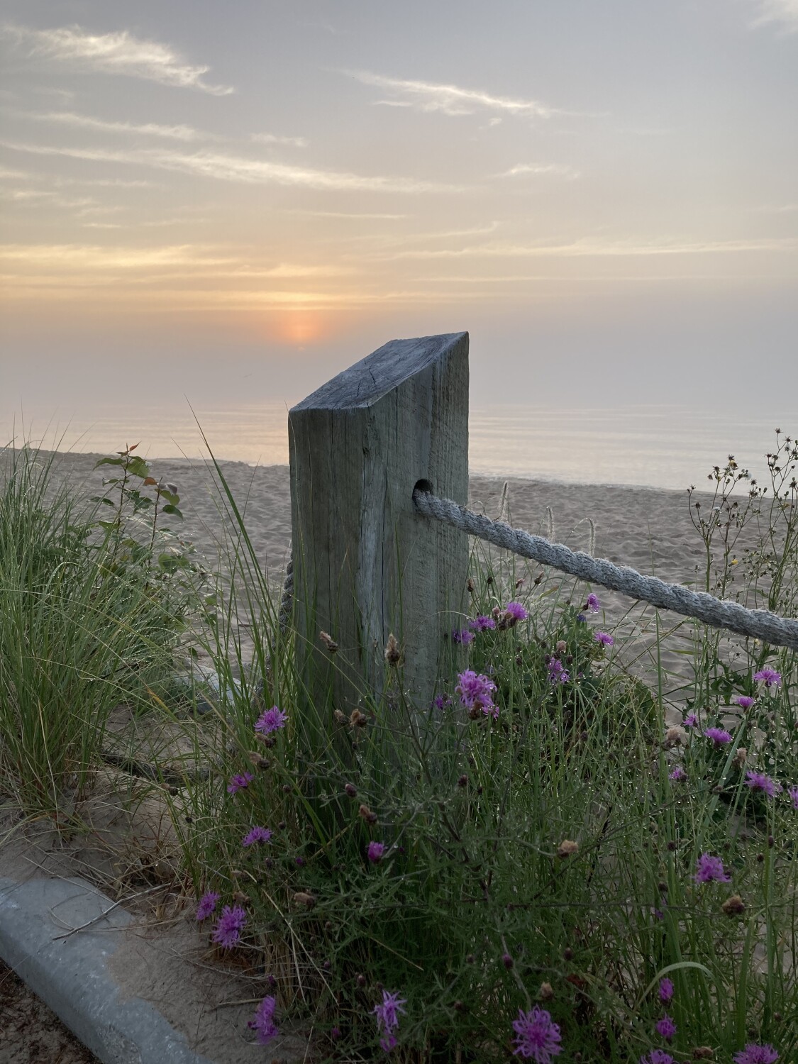 Sunrise at Kohler Andrae State Park in Wisconsin