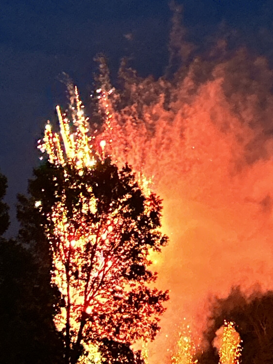 fireworks tree explosion