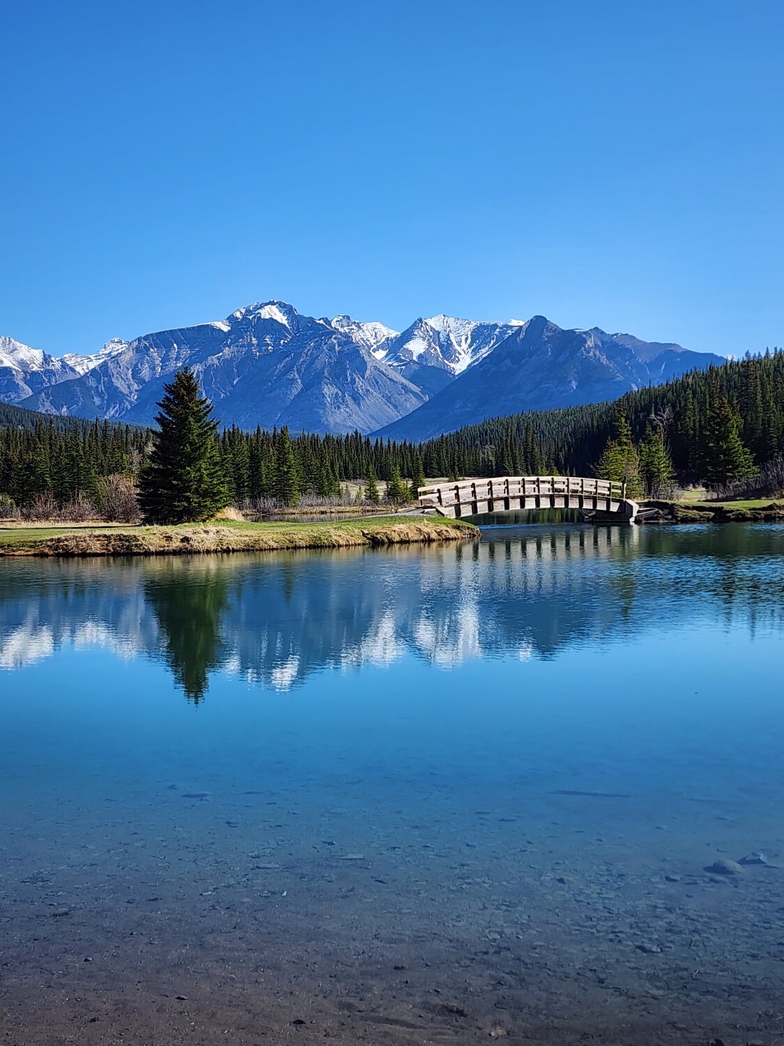 Spring Time in the Canadian Rockies
