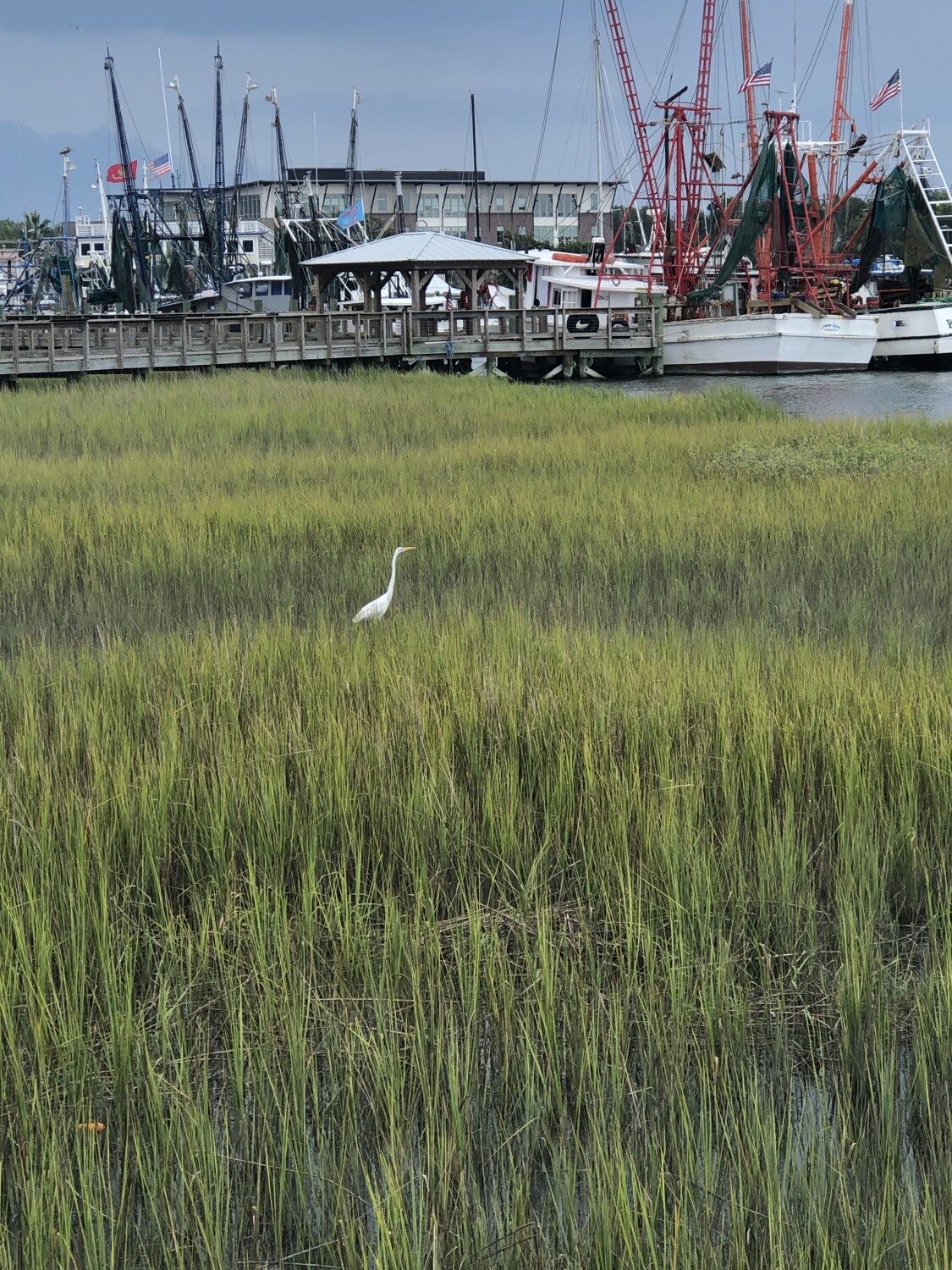 Shem Creek