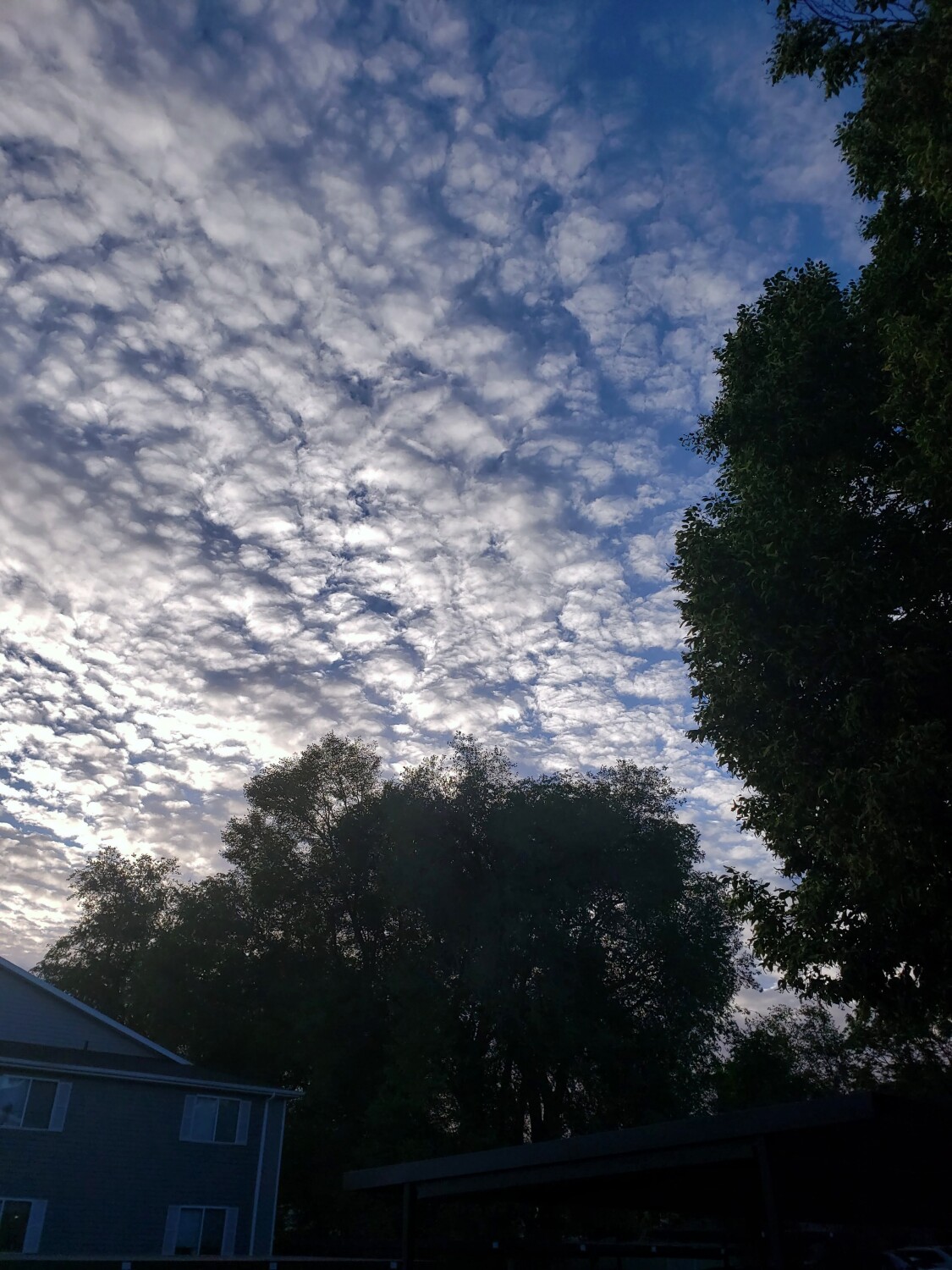 Cloud Cover in Millcreek, Ut