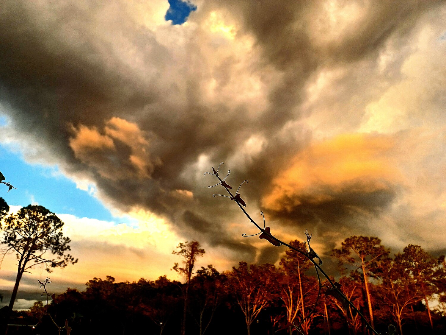 Después de la tormenta/After the storm