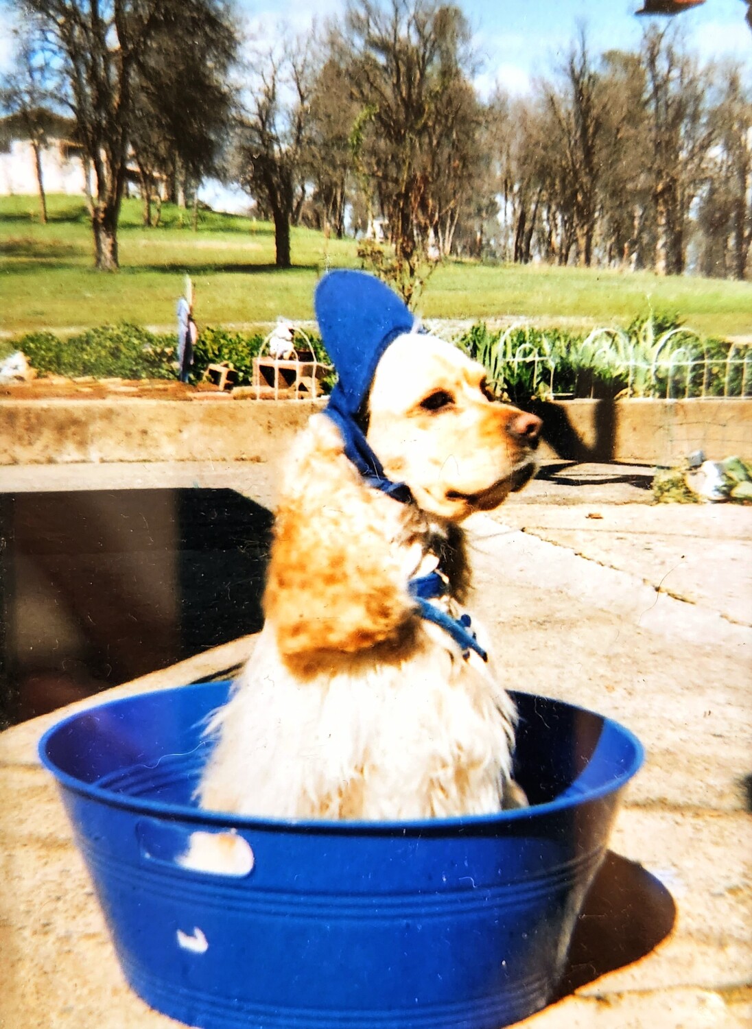 My babes name was jj