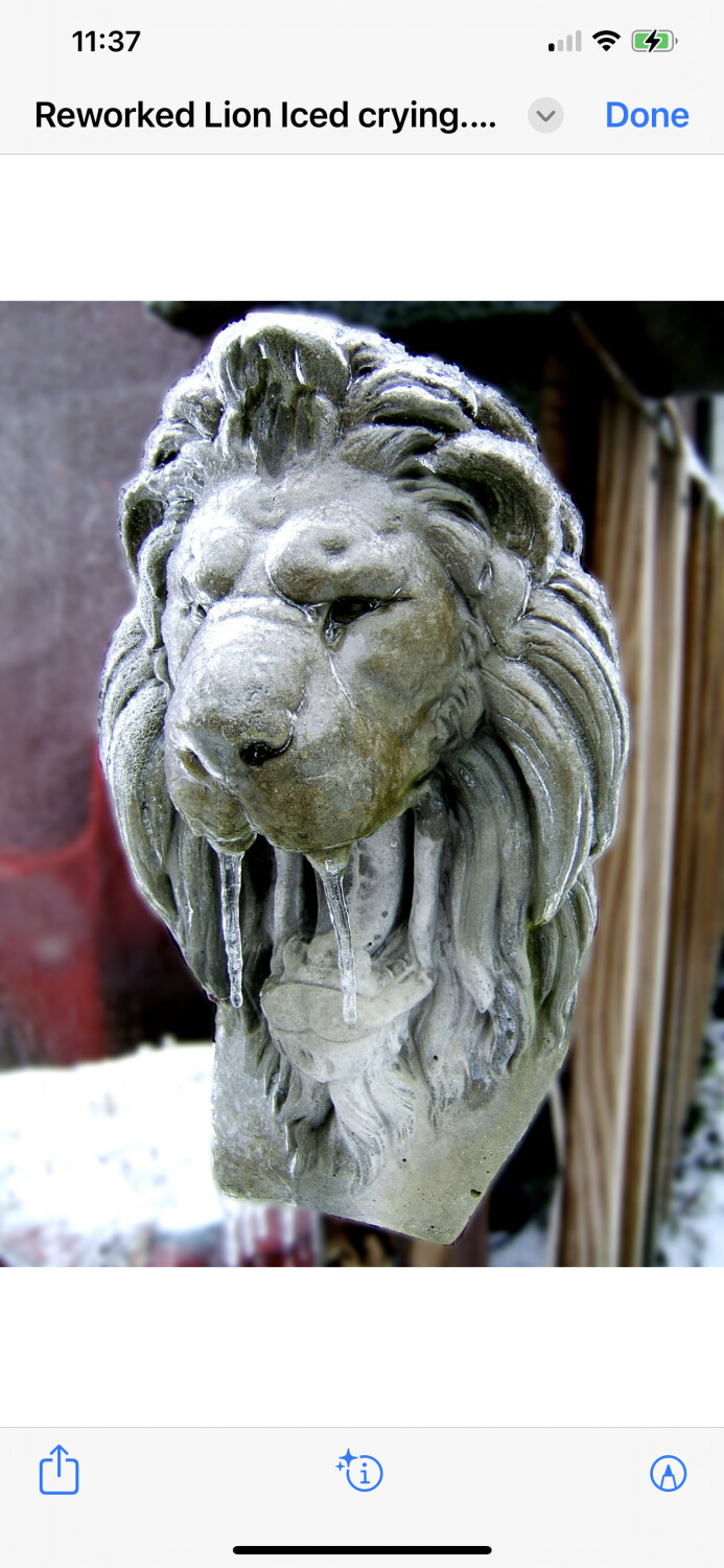 Crying Lion