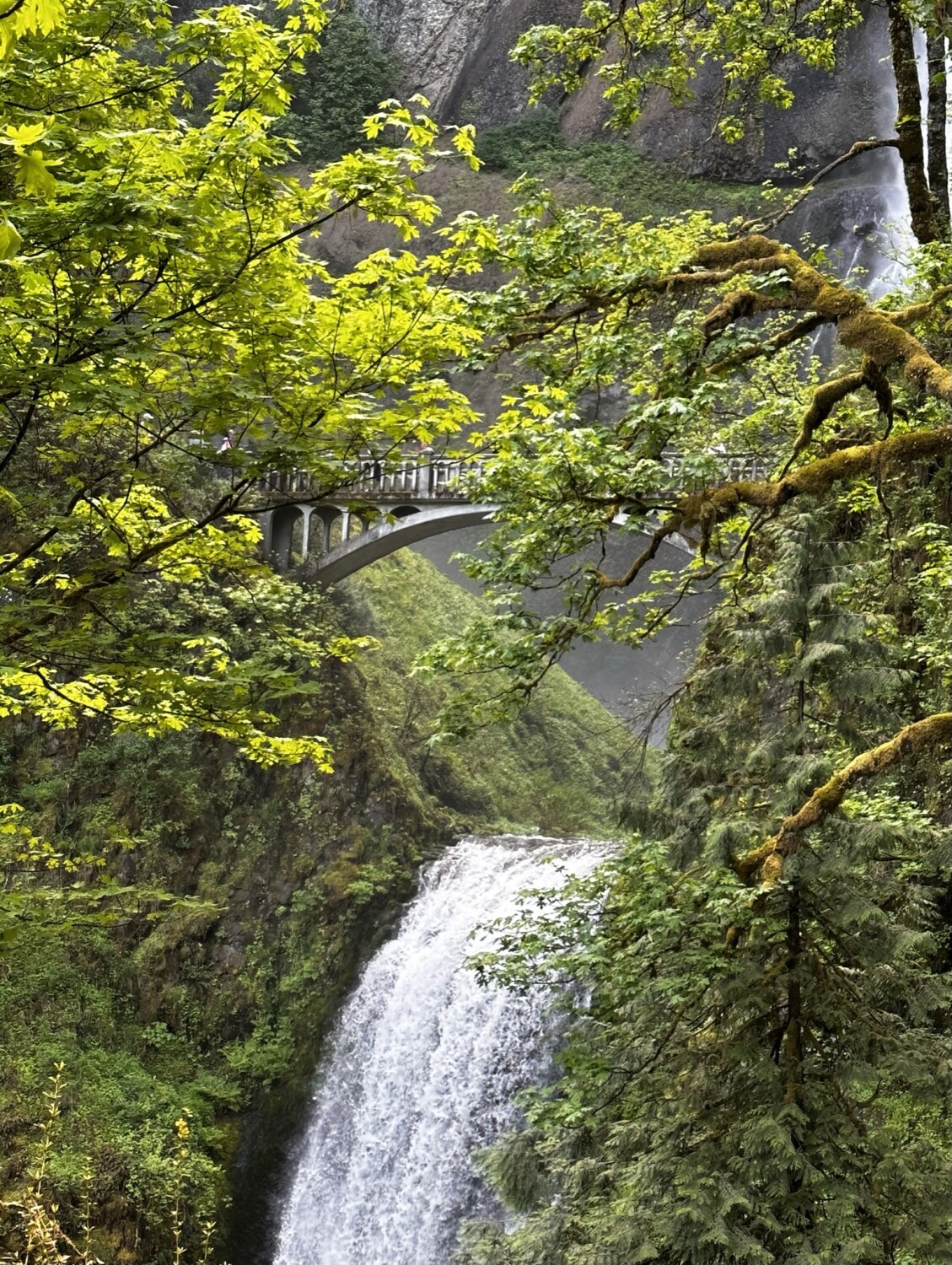 Multnomah Falls