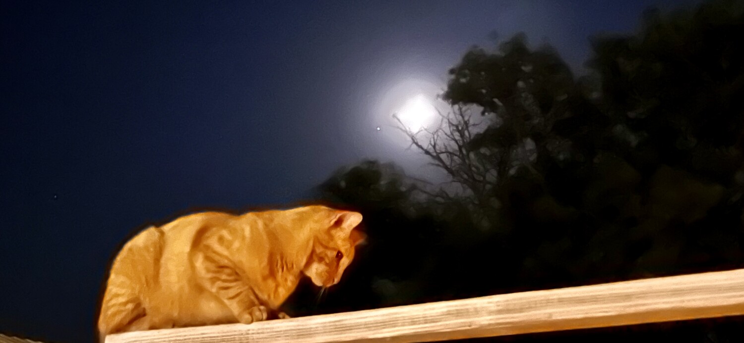 Intensity of the Moon