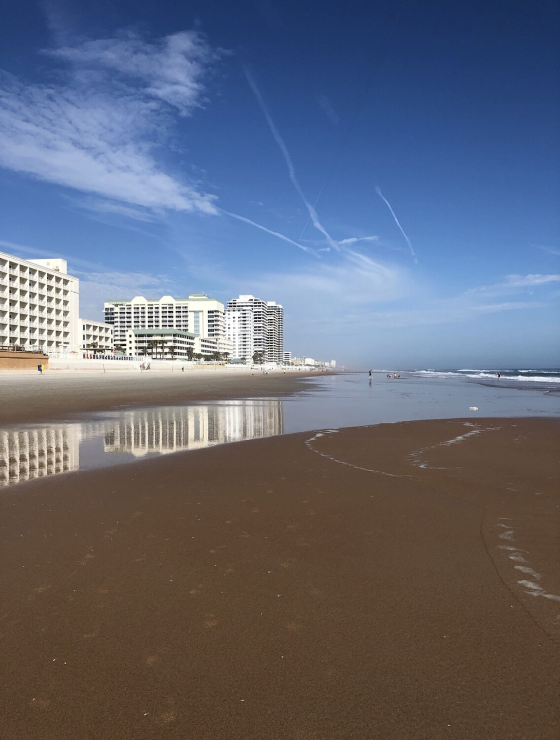 Lesa ‘s Daytona picture