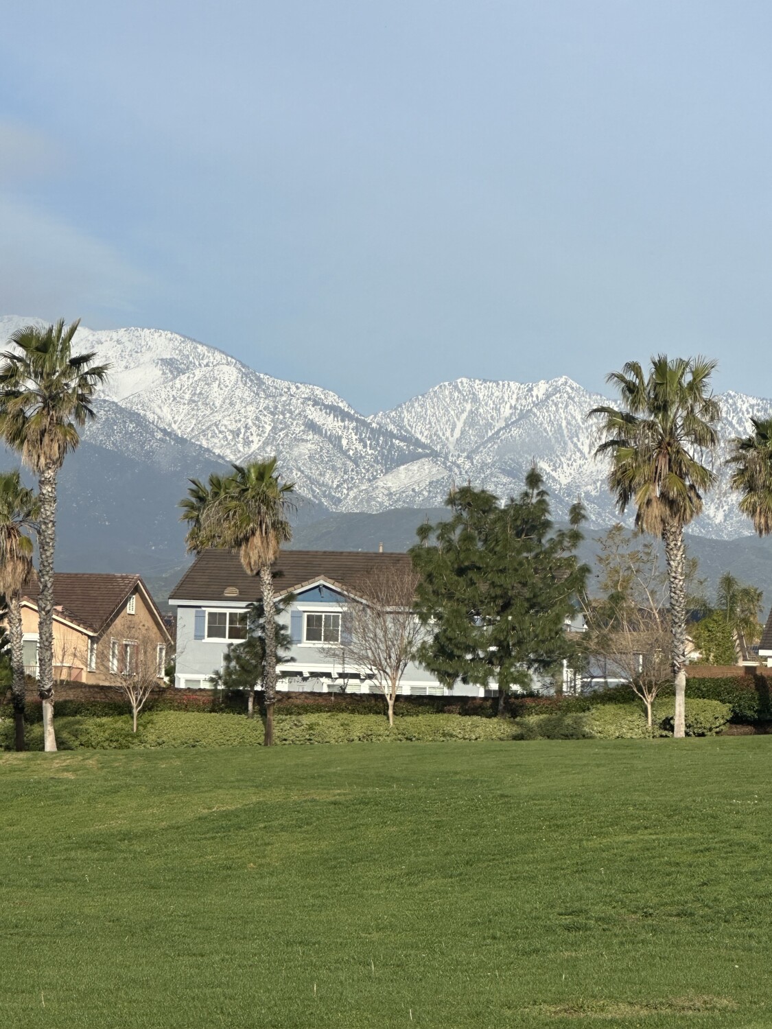 Morning view from my bedroom window.