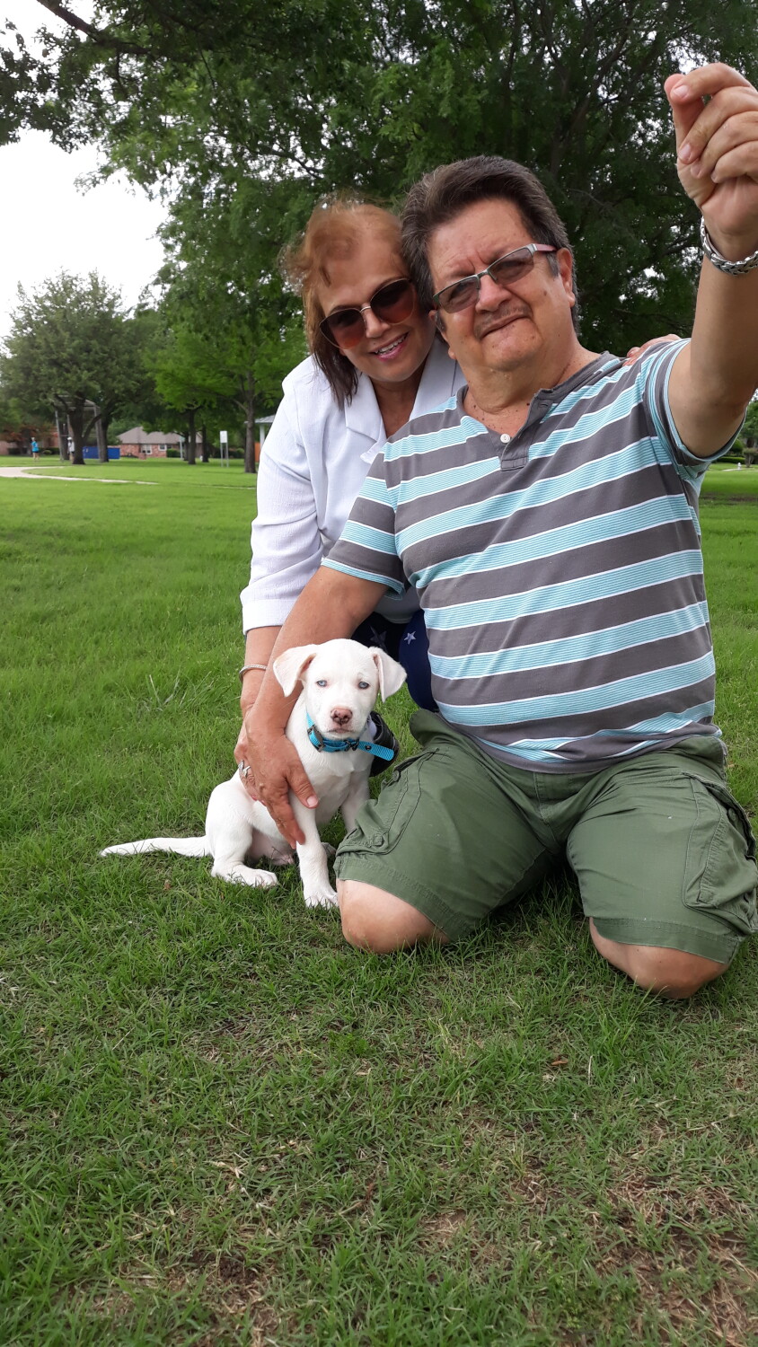 Enjoying the day with a new member of the family!🩷