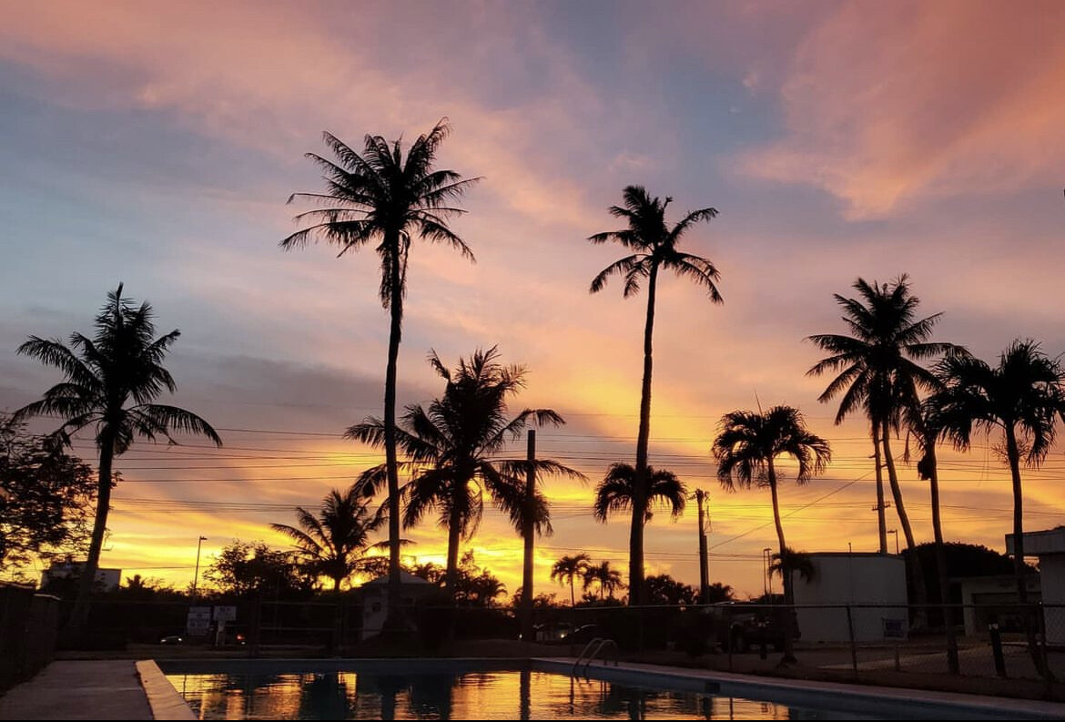 Sunset and Palm Trees = Paradise Found