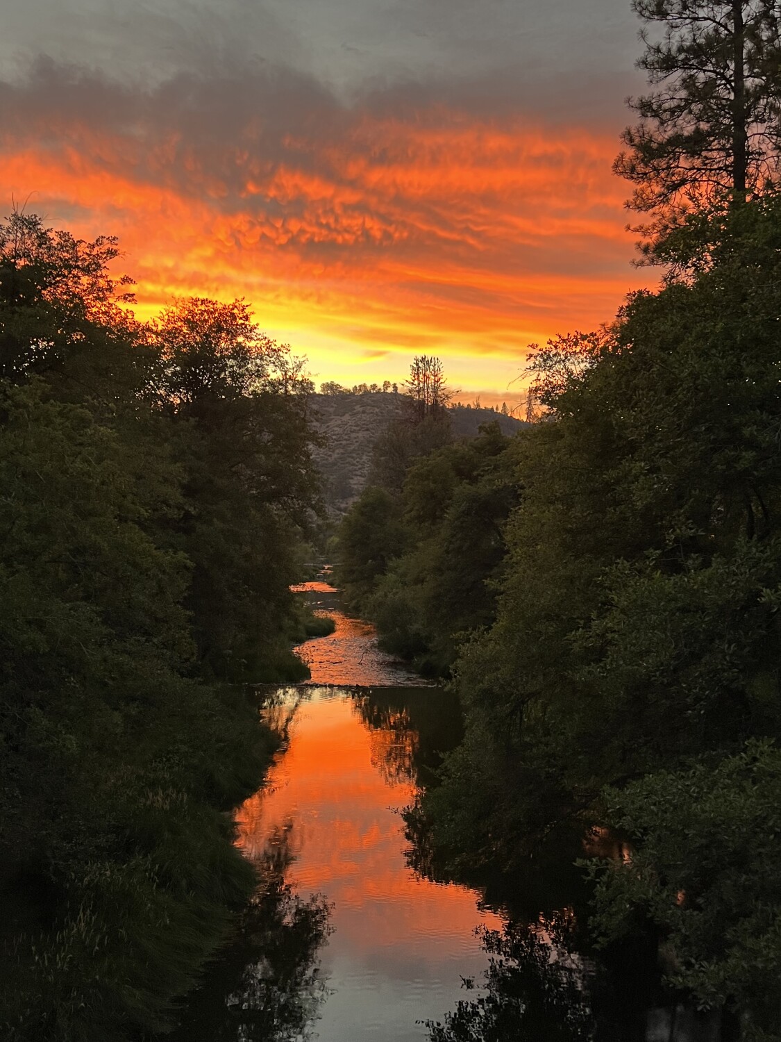 Sunset on Hayfork creek