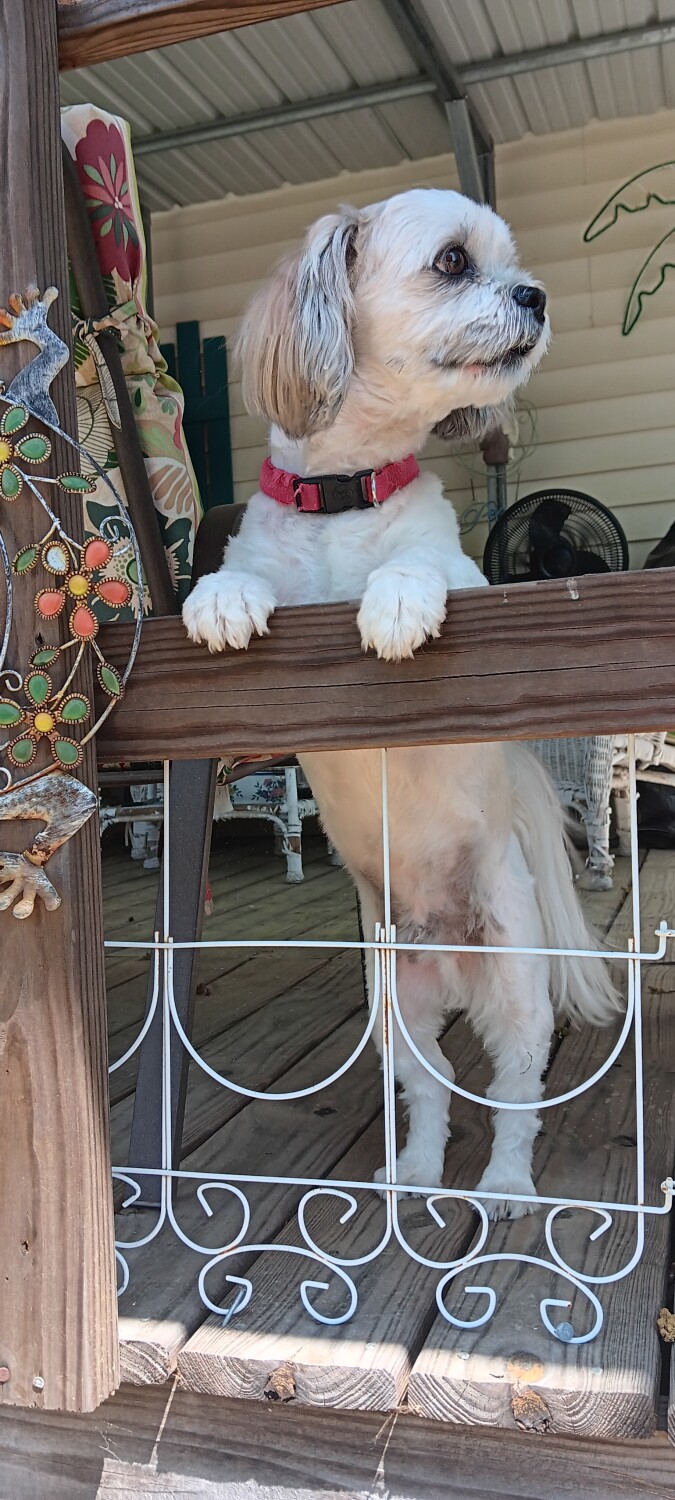 What was that noise?