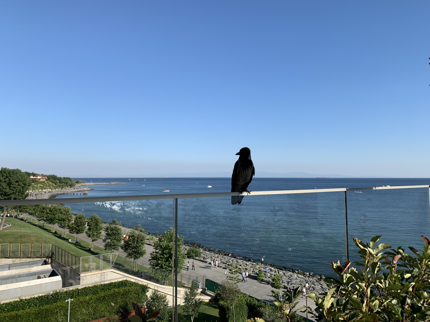 good day to enjoy the nature