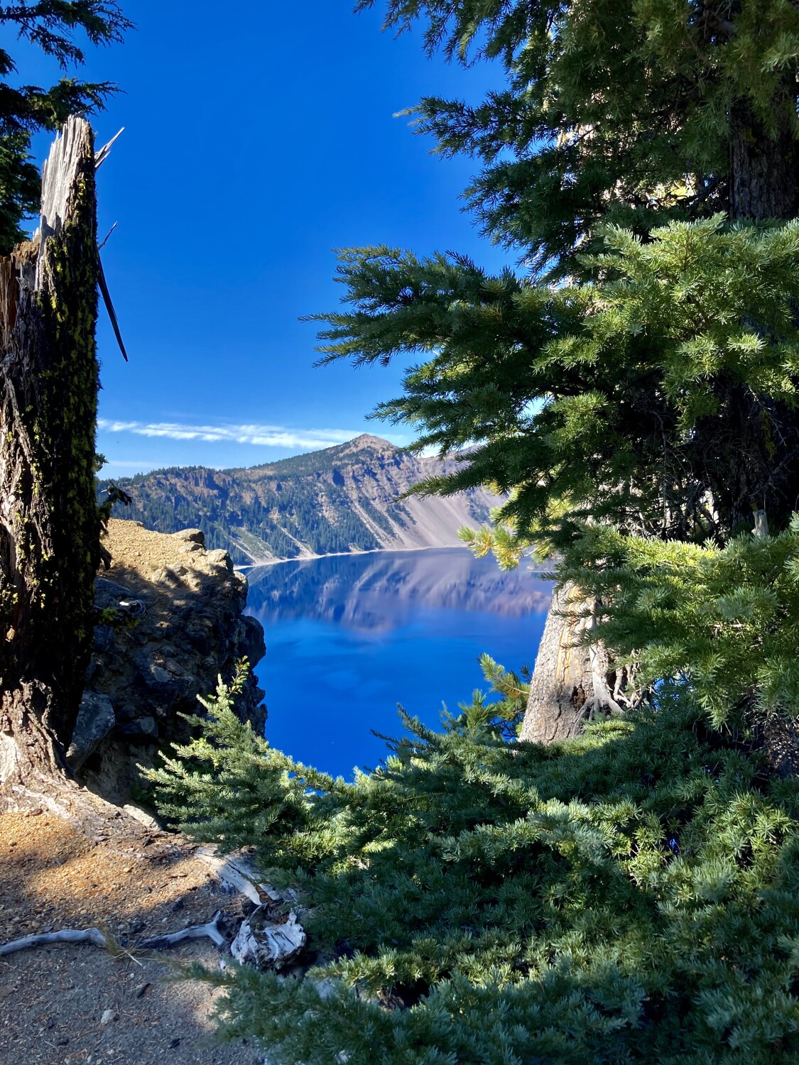 Reflection of beauty