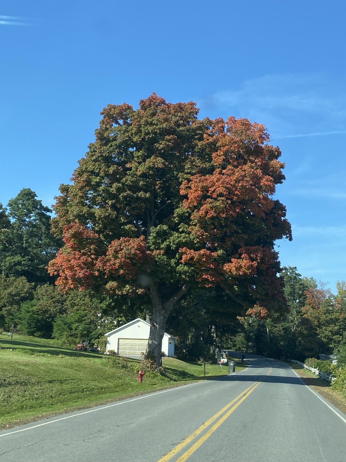 Fall colors in upstate NY