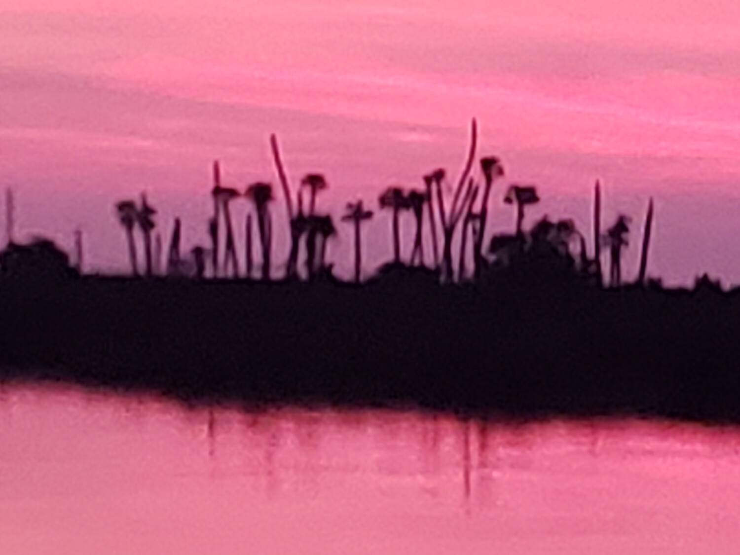 Sunset on water in Crystal Springs Fl