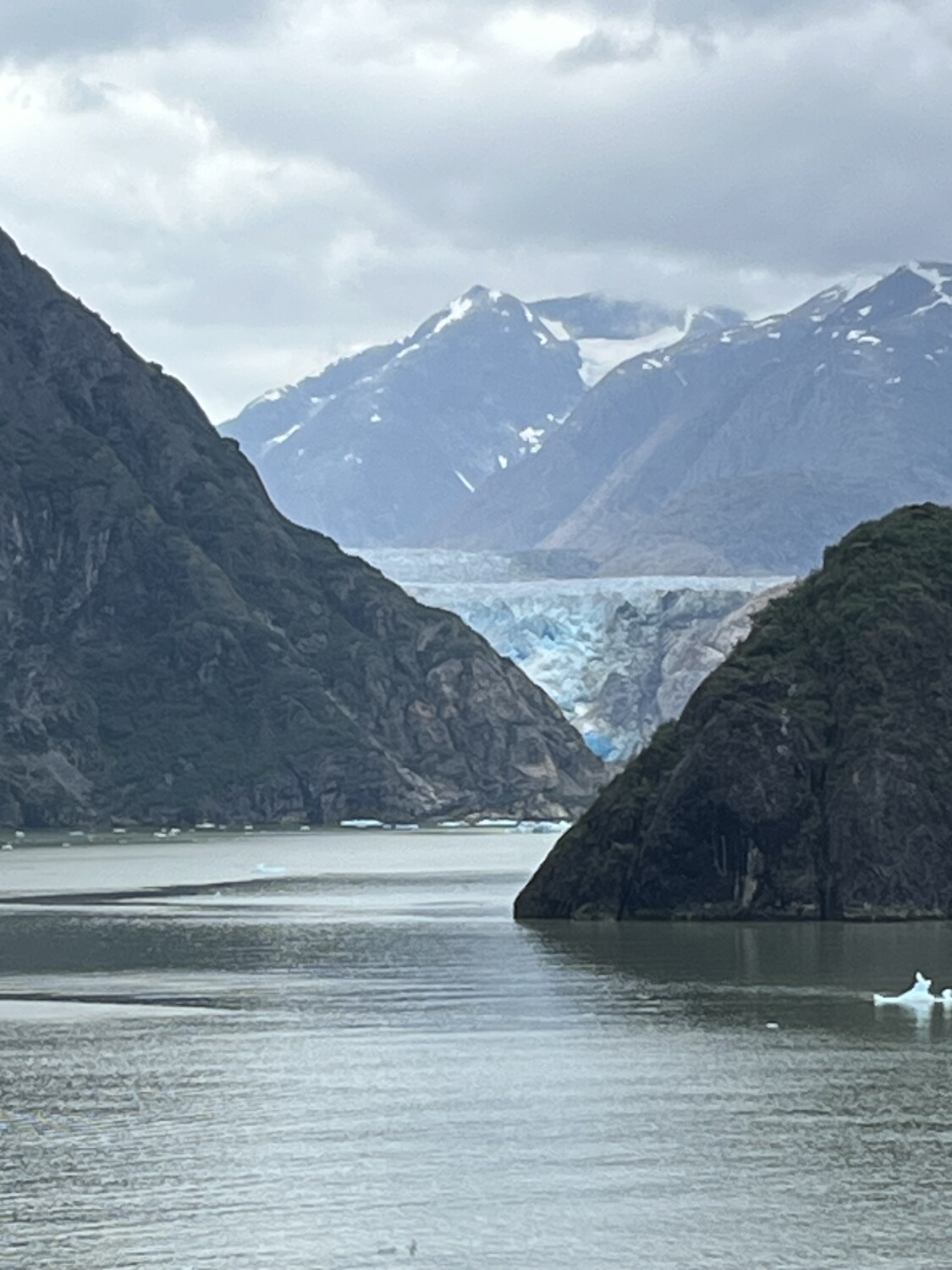 Blue on a cloudy day!